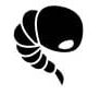 mosquito-pupa