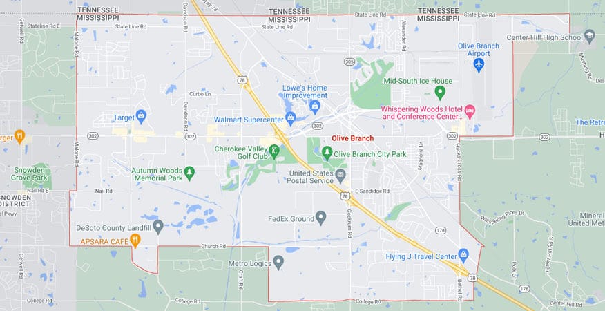 Pest Control Serving Olive Branch Mississippi