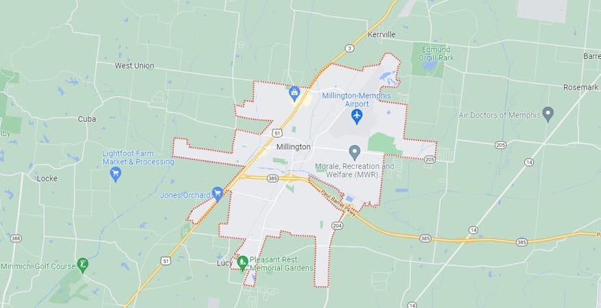 Pest Control Serving Millington Tennessee