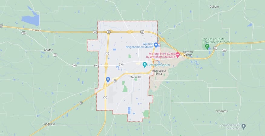 Pest Control Serving Starkville Mississippi
